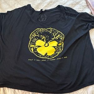 2XL Hanson MMMBOP crop top